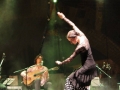 Danza del Fuego - jedna z najlepszych grup flamenco. Konferencje, koncerty, pokazy tańca, muzyka flamenco, taniec flamenco,
