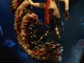 Danza del Fuego - jedna z najlepszych grup flamenco. Konferencje, koncerty, pokazy tańca, muzyka flamenco, taniec flamenco,