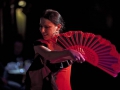 DANZA DEL FUEGO - GRUPA FLAMENCO