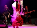 DANZA DEL FUEGO - GRUPA FLAMENCO