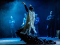 Danza del Fuego - jedna z najlepszych grup flamenco. Konferencje, koncerty, pokazy tańca, muzyka flamenco, taniec flamenco,