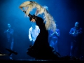 Danza del Fuego - jedna z najlepszych grup flamenco. Konferencje, koncerty, pokazy tańca, muzyka flamenco, taniec flamenco,